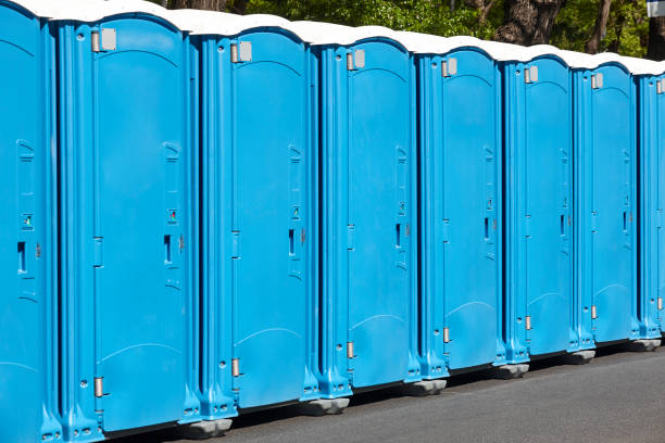 Best Portable Restroom Servicing (Cleaning and Restocking)  in Fairview, NC